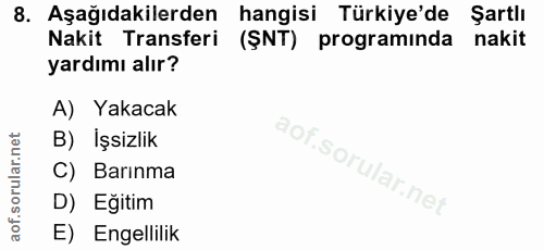 Soru 8