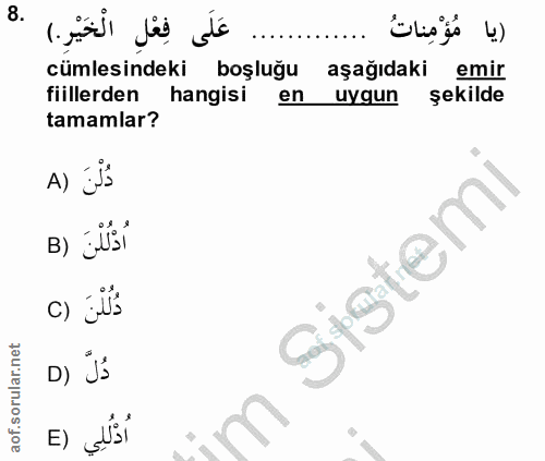 Soru 8