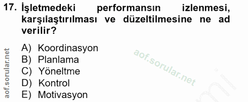 Soru 17