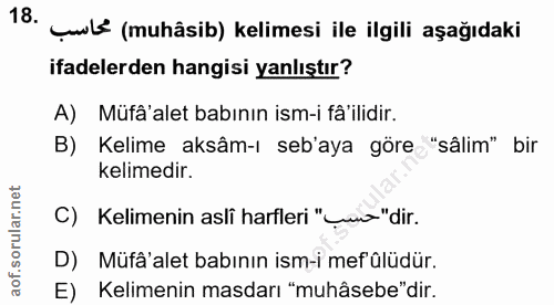 Soru 18