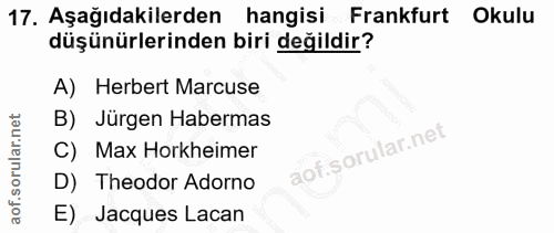 Soru 17
