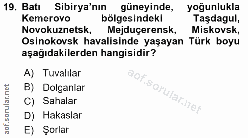 Soru 19
