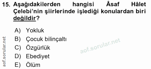 Soru 15