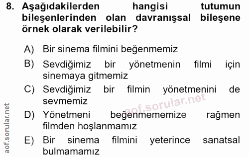 Soru 8