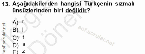 Soru 13