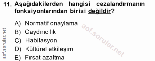 Soru 11