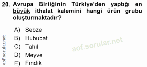 Soru 20