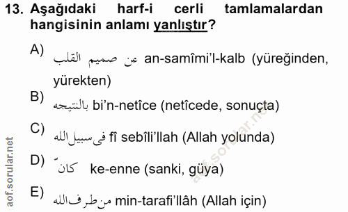 Soru 13