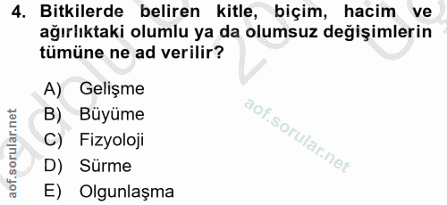 Soru 4
