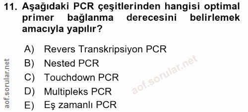 Soru 11