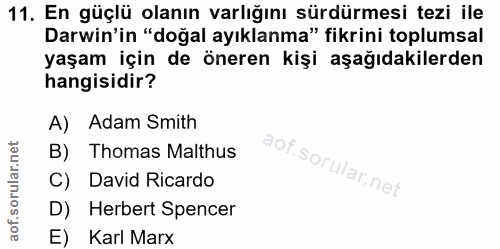 Soru 11