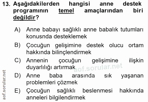 Soru 13