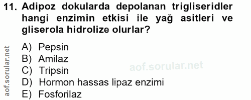 Soru 11