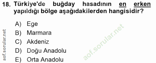 Soru 18