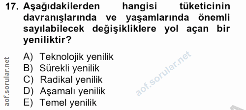 Soru 17