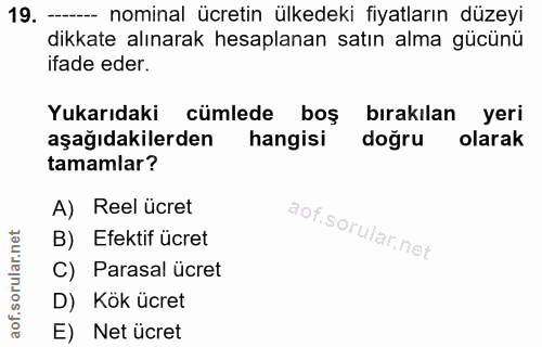 Soru 19