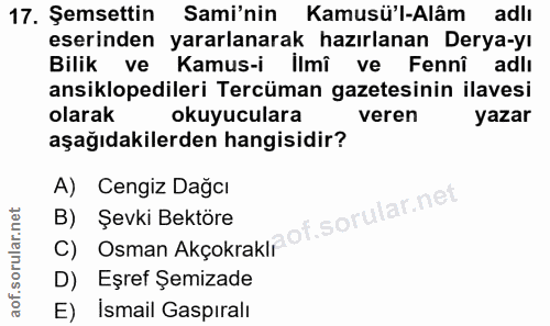 Soru 17