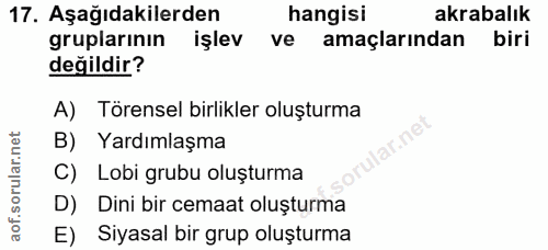 Soru 17