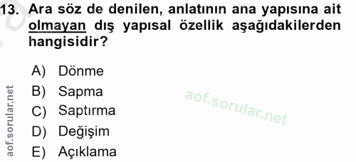 Soru 13