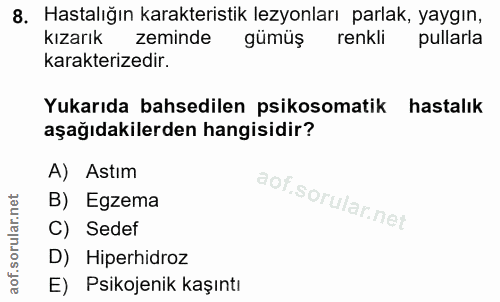 Soru 8