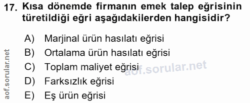 Soru 17