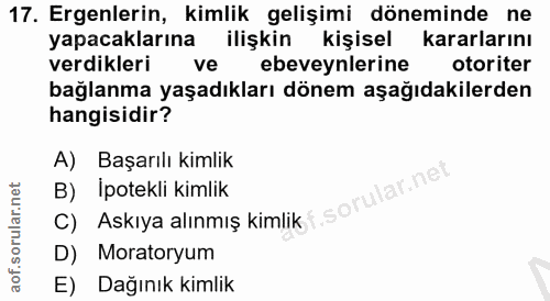 Soru 17
