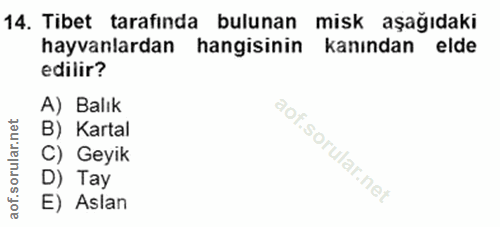 Soru 14