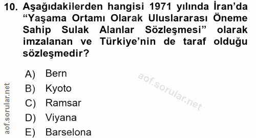 Soru 10
