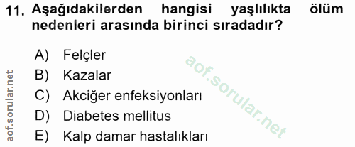 Soru 11