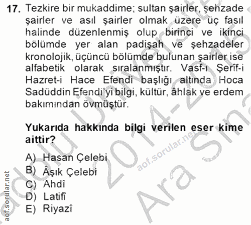 Soru 17