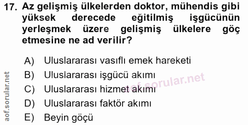 Soru 17
