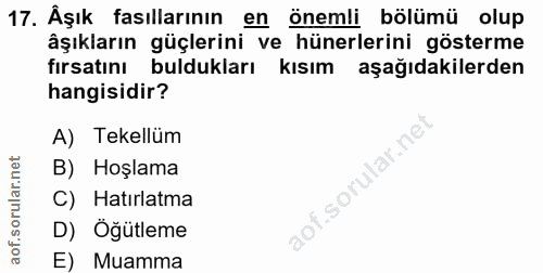 Soru 17