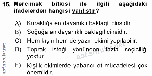 Soru 15