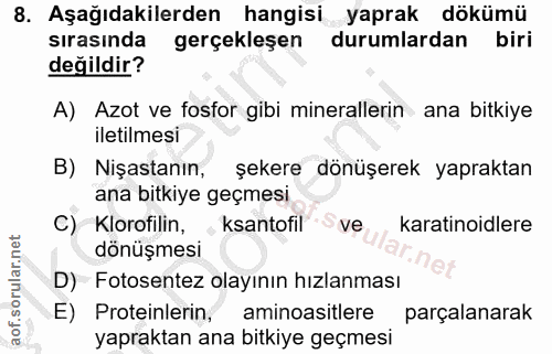 Soru 8