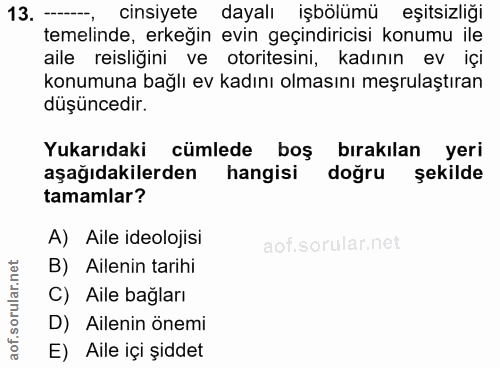 Soru 13