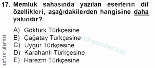 Soru 17