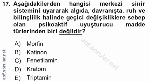 Soru 17