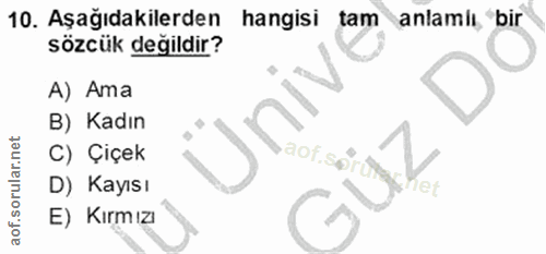 Soru 10