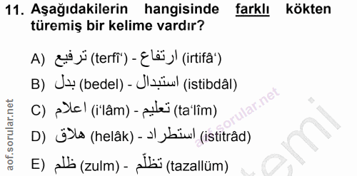Soru 11
