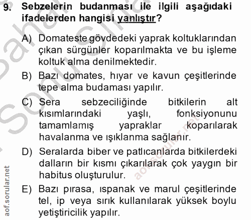 Soru 9