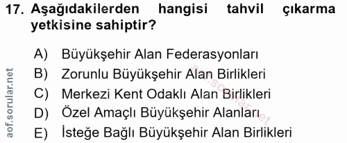 Soru 17