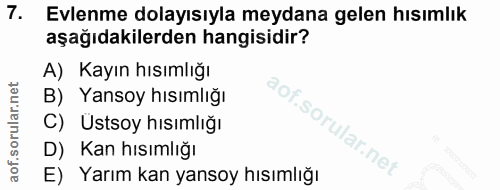 Soru 7