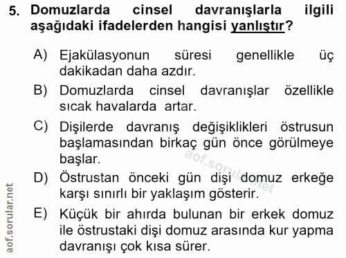 Soru 5