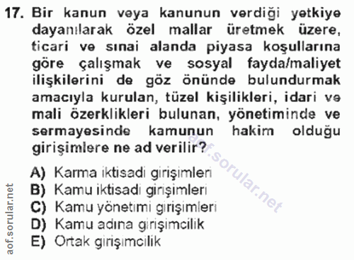 Soru 17