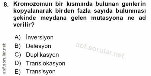 Soru 8