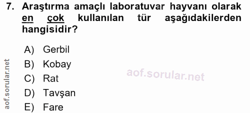 Soru 7