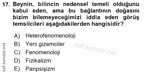 Soru 17