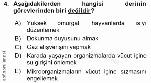 Soru 4