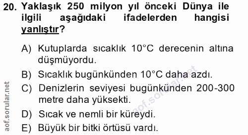 Soru 20