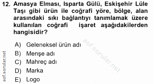 Soru 12